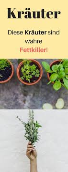 Abnehmen Mit Krautern Lowenzahn Wirkung Mit Krautern Abnehmen Mit Lowenzahn Basilium Kerbel Oregano Pfefferminze Bren Herb Recipes Herbs Herbal Recipes