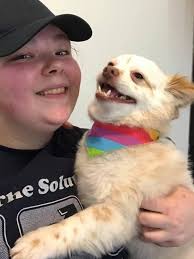 Coping with the loss of a pet dog