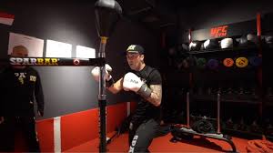 Monthly dog joy is just a click away. Official Sparbar Sports Equipment For Boxing Mma Fitness Combat Sparbar Uk