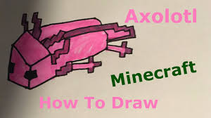Draw axolotl on deviantart axolotl art drawings axolotl drawing at getdrawings free download How To Draw Minecraft Axolotl Step By Step Youtube