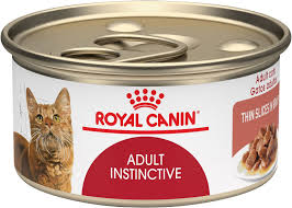 Image result for royal canin cat food