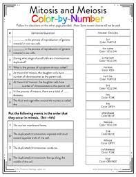 Is this type of cell division an example of mitosis or meiosis? Mitosis And Meiosis Color By Number By Science Teaching Junkie Inc