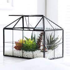 These types of plants thrive in an arid environment and require a very small amount of water. Amazon Com Purzest Glass Terrarium House Shape Geometric Succulent Terrarium With Swing Lid Tabletop Planter Box Mini Indoor Greenhouse For Fern Moss Air Plants Miniature Housewarming Gift Garden Outdoor