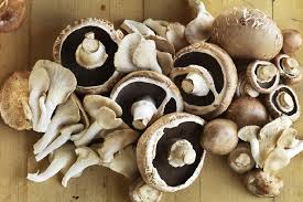 Check spelling or type a new query. Segar Dan Liar Di Mana Beli Cendawan