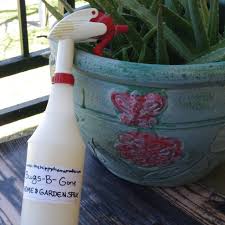 Aroma therapy grade cedar oil isn't filtered or optimized to our strict scientific standards. Using Essential Oils In Your Home Garden To Kill Pests The Hippy Homemaker