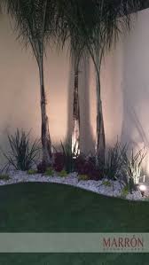 Pin De Lau Leiva En Plantas En 2020 Jardines Paisajismo De Patio Decoraciones De Jardin