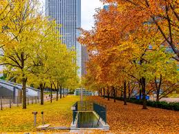 • the lowercase names below are the colors used in early versions of maple, and they are retained for backward compatibility. 19 Best Places To See Fall Foliage In Chicago In 2020