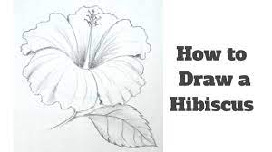 Maybe you would like to learn more about one of these? How To Draw A Hibiscus Flower Step By Step For Kids Youtube