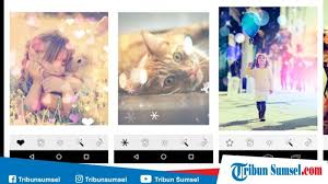 Kegemaran ramai dan disukai banyak, mainlah game favourite. Download 6 Aplikasi Video Bokeh Terbaru 2019 Gratis Terbaik Untuk Hp Bikin Video Lebih Kece Halaman All Tribun Sumsel