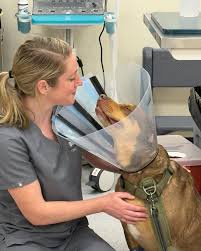 Nothing can stop this bond 😍