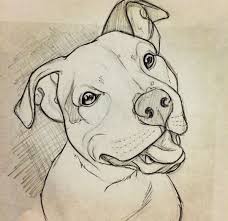 45 Simple And Easy Things To Draw For Beginners Buzz Hippy Pitbull Art Dog Drawing Dog Sketch