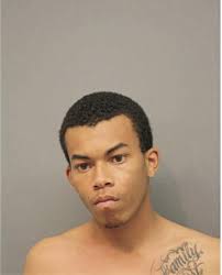 ᐅ Illinois Criminal Records 2009-2025