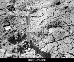 Image result for tbn:0DAOHh2-xx0FjM::www.3roos.com/postsimages/d60e3afe16044b303e40d5e60727bae6.jpg