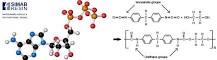 Water-based polyurethane resins - Simab Resin