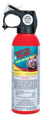 Counter Assault Bear Deterrent Spray 10 2 Fl Oz Rei Co Op