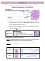 Cell division gizmo answer key free : Student Exploration Cell Division