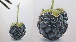 How To Draw A Blackberry Step By Step - Fruit Drawings