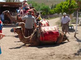 Call this when finished encoding data with camel_uuencode_step() to flush off the last little bit. Photo Gallery Of Camel Beach Kargi Bay Bodrum Travel Guide Turkey