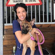We provide the professional veterinary care you expect, combined with convenience, a fear free approach and exclusive personal attention. Mobile Pet Clinic For At Home Vet Care Palm Beach Mvs Pet Care House Calls
