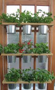 Hanging Shelf And Pots Kitchen Herb Garden Windowsill Etsy Herb Garden In Kitchen Indoor Herb Garden Indoor Garden