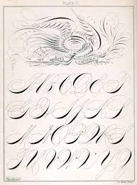 Victorian Decorative Handwriting 1883 Calligraphy Graffiti Lettering Fonts Calligraphy Fonts Alphabet