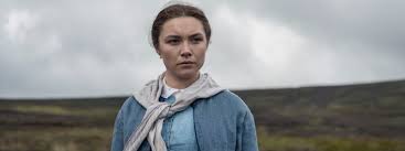 Image result for the wonder