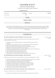Area sales managers are responsible for sales operations in a company and oversee the activity of employees from a particular geographic area. Business Development Manager Resume Guide 12 Templates Pdf