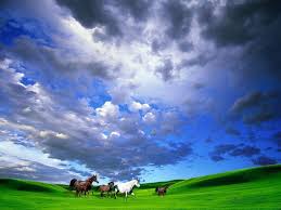 صور خلفيات لابتوب غيوم 2020 golf courses field