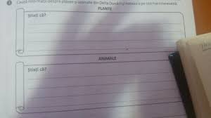 În cea mai mare parte a deltei cad între 350 si 400 mm ploaie, iar pe litoralul deltaic și cea mai mare parte a lagunelor, sub 350 mm. 3 CautÄƒ InformaÈ›ii Despre Plante È™i Animale Din Delta DunÄƒrii È™i Noteaz O Pe Cea Mai Interesanta Brainly Ro