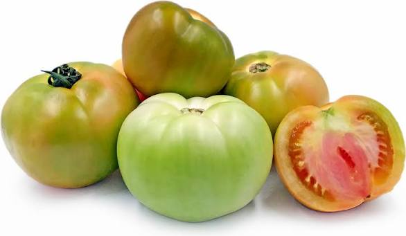 Cà chua xanh có độc không?