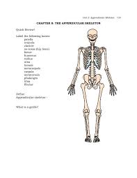 A hollow medullary cavity is found in the center of long bones and serves as a storage area for bone marrow. Chapter 8 The Appendicular Skeleton