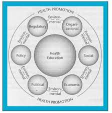 Start studying chapter 11 health quiz 1. Intro To Health Promotion Hed 311 Exam 1 Flashcards Quizlet