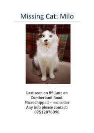 Find now pet microchip company lookup. Pettrac 24hr Uk Pet Microchip Database Home Facebook