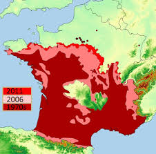 Quelle méthode utiliser pour les éliminer ? Chenille Processionnaire Traitement Pour S En Debarrasser