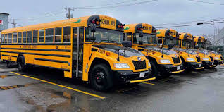 Image result for Yellow 2023 Fleet