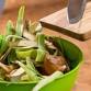 Cutting Kitchen Waste