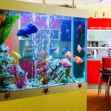 Aksesoris aquarium pemberi pakan ikan otomatis / auto food feeder / timer resun af 2005d. Simak 10 Peralatan Dan Aksesori Akuarium Yang Wajib Dimiliki Buat Kamu Yang Suka Ikan