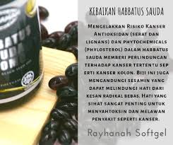 Ibnu sina adalah antara pengkaji manfaat habbatus sauda untuk kesihatan dan perubatan. Ready Stock Rayhanah Habbatussauda 120 Soft Gel Black Seed Nigella Sativa Oil Extract Cold Press Shopee Malaysia