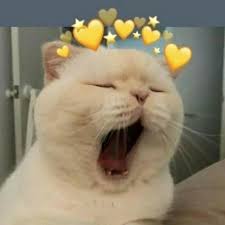 Unele conţin diftong, unele conţin triftong, unele conţin hiat. ScrieÈ›i Cate 10 Exemple De Diftong Triftong Hiat Va Rog Mult Ajutatima Brainly Ro