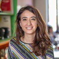 Anton Valentin N. Radulea