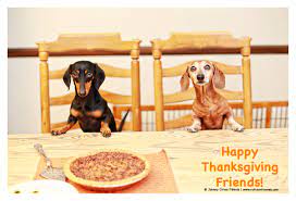 4.9 out of 5 stars 157. Happy Happy Thanksgiving Friends Rufusontheweb