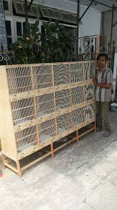 Ukuran standar kandang yaitu setiap satu meter persegi (m2) diisi sebanyak 8 ekor ayam. Ayam Bangkok Jual Hewan Peliharaan Makanan Aksesoris Terlengkap Di Indonesia Olx Co Id