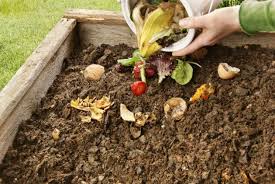 Use compost much as you would any the nutrients contained in compost will have an amazing effect on the output of plants, vegetables, and overall appearance of your lawn and garden. Composting Blog Kellogg Garden Organics