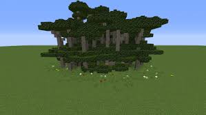 Akazienbaum in voller blute region cham nachrichten akazienbaum hietzing akazienbaum im garten akazie akazienbaum wandtattoo. á… Akazienbaumwald In Minecraft Bauen Minecraft Bauideen De