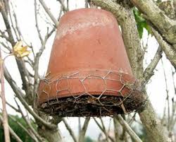 Gite A Perce Oreilles Nichoir A Insectes Hotel A Insectes Nichoir