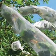 I'm sharing with you one simple trick to covering your fruit trees and protecting them from spring frost. Fruit Tree Sleeves Harrod Horticultural Tree Sleeve Fruit Trees Cherry Tree