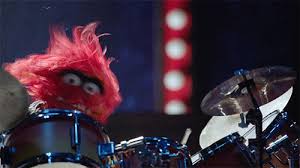 With tenor, maker of gif keyboard, add popular animal muppet drummer animated gifs to your conversations. Bored With Pics Of Animals Have Some Gifs With Animal Album On Imgur
