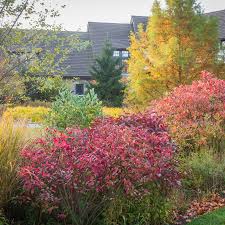 Start by assessing your lawn. The Do It Yourself Rain Garden The New York Times