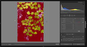 Lightroom always gave landscape photographers and you can also use range masks in lightroom to selectively adjust color saturation to different parts of join 45,000+ nature photographers and get the free ebooks, free creativity course & discount codes. How To Apply Local Adjustments To Photos Based On Color Luminance And Depth Information