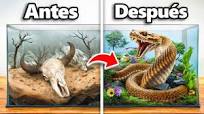 Transformé el Hogar Abandonado de una Serpiente